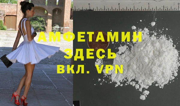 сатива Бронницы
